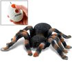 RC Tarantula - RC spin 